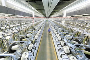 我市加快構建開放商務體系助推轉型發展紀實